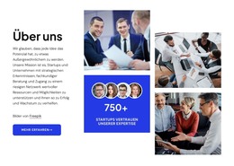 Bewährte Strategien Für Den Startup-Erfolg