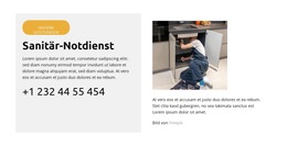 Website-Layout Für Reparatur Von Toilettenlecks