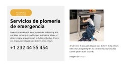 Reparación De Fugas De Inodoro - Diseño De Sitios Web Profesionales