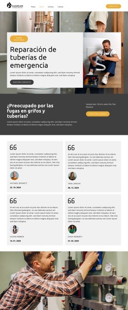 Servicios de plomería de emergencia Maquetas de sitios web