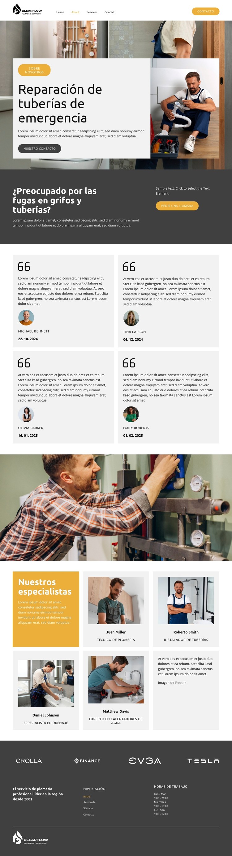 Servicios de plomería de emergencia Plantilla CSS
