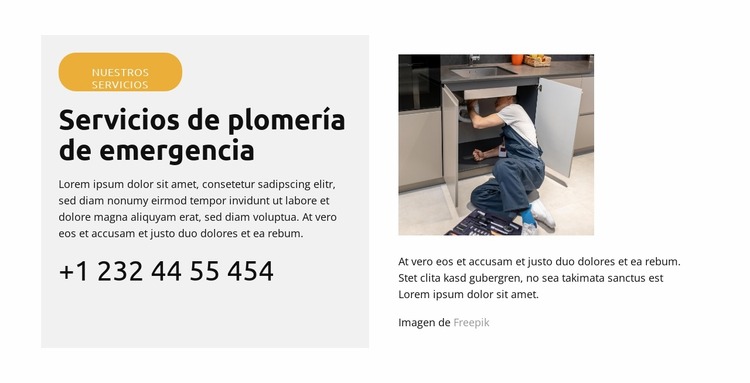 Reparación de fugas de inodoro Plantilla Joomla