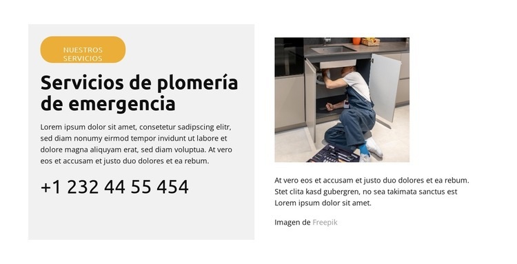 Reparación de fugas de inodoro Plantilla de una página