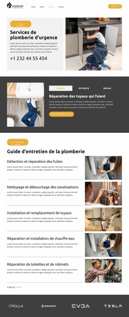 Détection et réparation des fuites Conceptions de sites Web