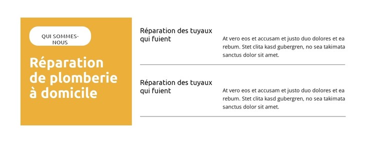 Réparation des tuyaux qui fuient Modèle CSS
