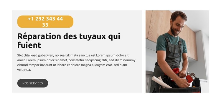 Réparation d'évier de cuisine Modèle CSS