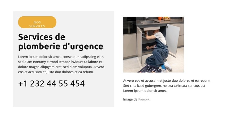 Réparation de fuite de toilettes Modèle CSS