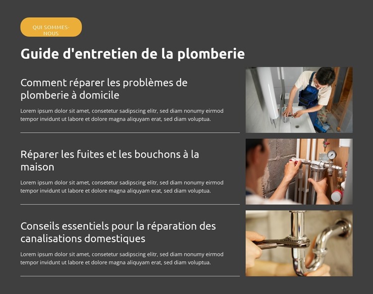 Conseils de plomberie DIY Modèle HTML