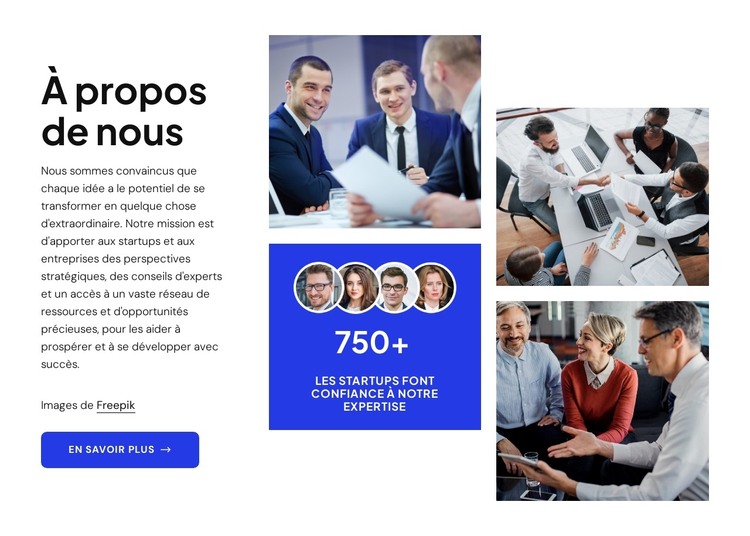Stratégies éprouvées pour la réussite des startups Modèle HTML