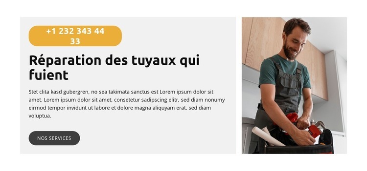 Réparation d'évier de cuisine Modèle