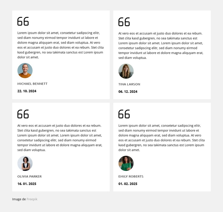 Guide d'entretien de la plomberie Modèle de site Web