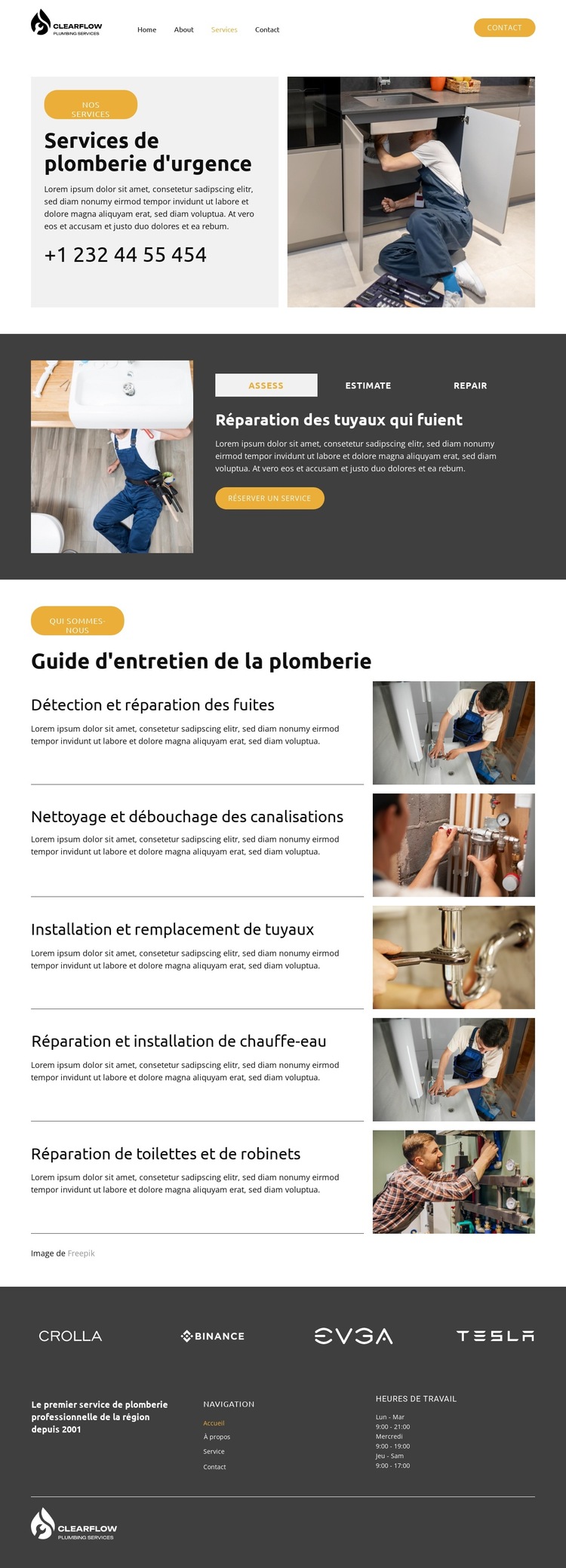 Détection et réparation des fuites Modèle de site Web