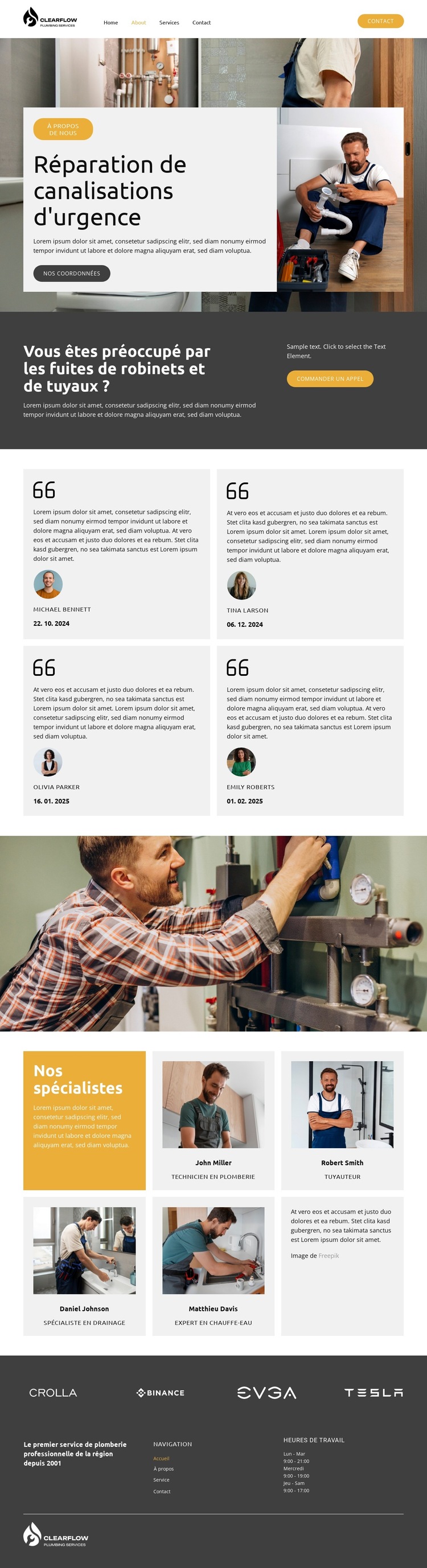 Services de plomberie d'urgence Modèle de site Web