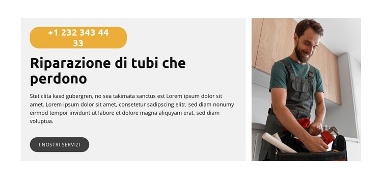 Riparazione del lavello della cucina Modello di sito Web