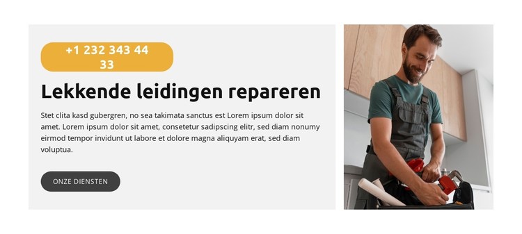 Keuken gootsteen repareren CSS-sjabloon