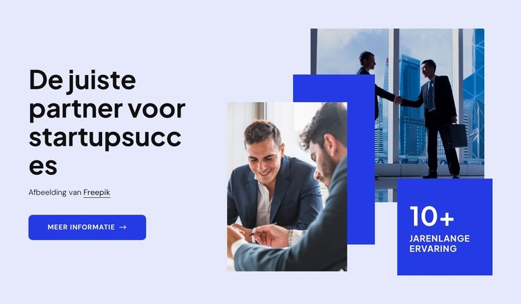 Startup-advies WordPress-thema