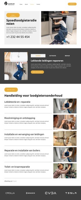 Lekdetectie en -reparatie Website-ontwerpen