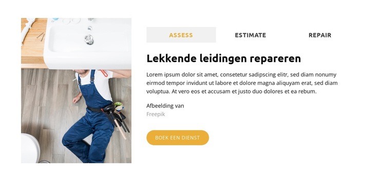 Reparatie van de boiler Website ontwerp