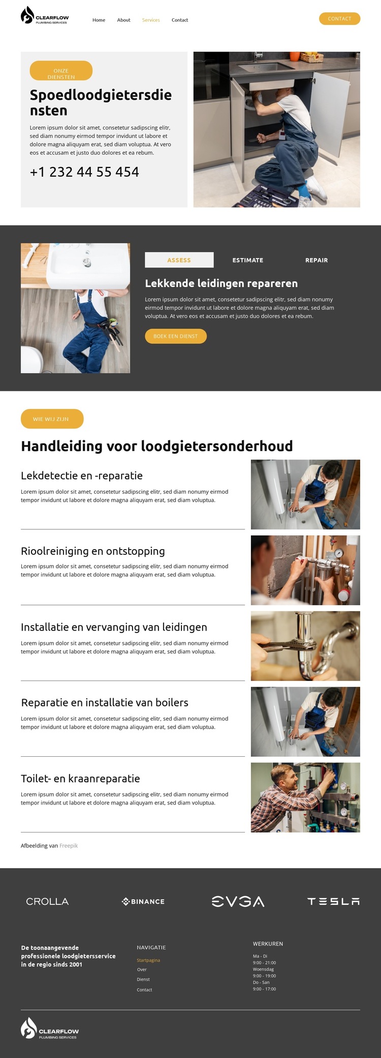 Lekdetectie en -reparatie Website sjabloon