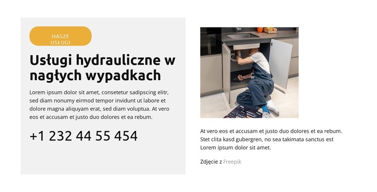 Naprawa przecieku w toalecie Szablon HTML