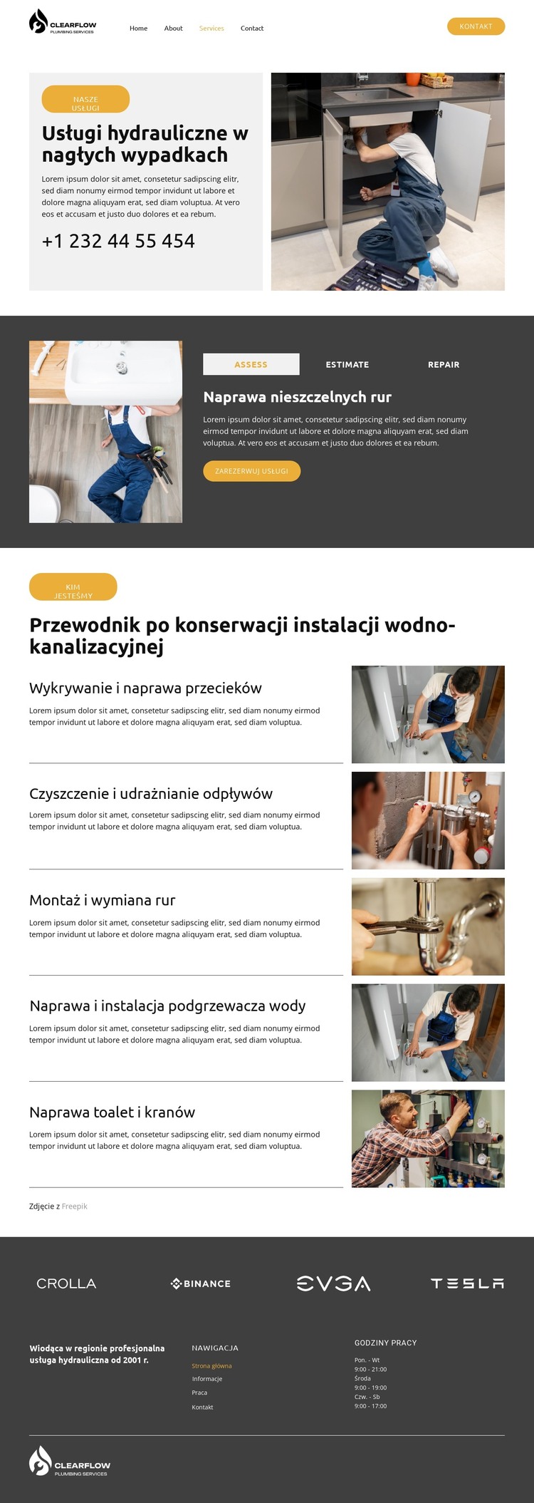 Wykrywanie i naprawa przecieków Szablon HTML