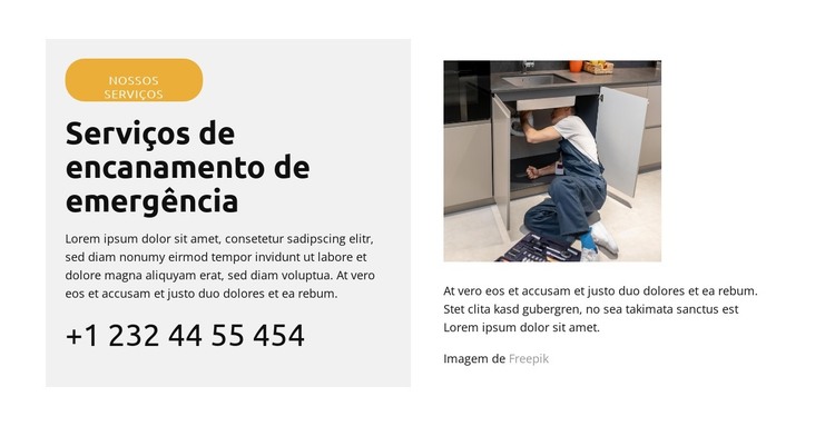 Reparo de vazamento de vaso sanitário Modelo HTML