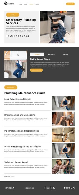 Leak Detection And Repair