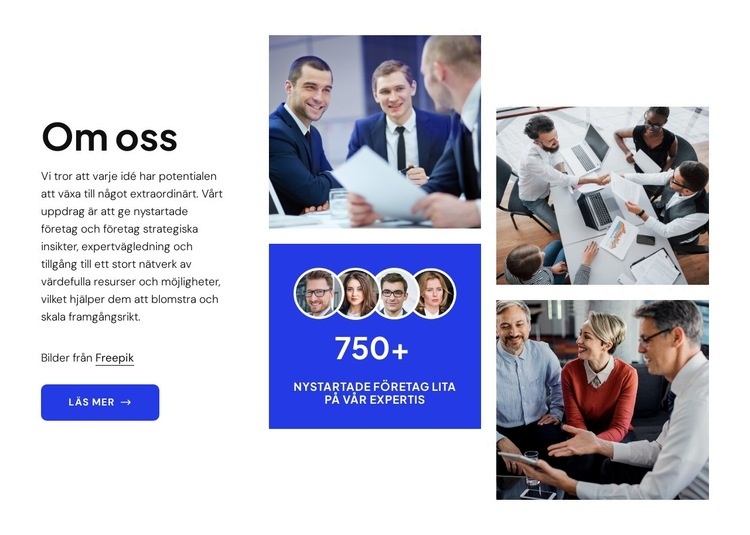 Beprövade strategier för uppstartsframgång Mall