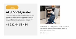 Webbplatslayout För Toalettläckagereparation