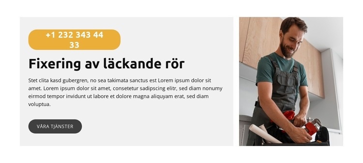 Fixa diskbänk Webbplats mall