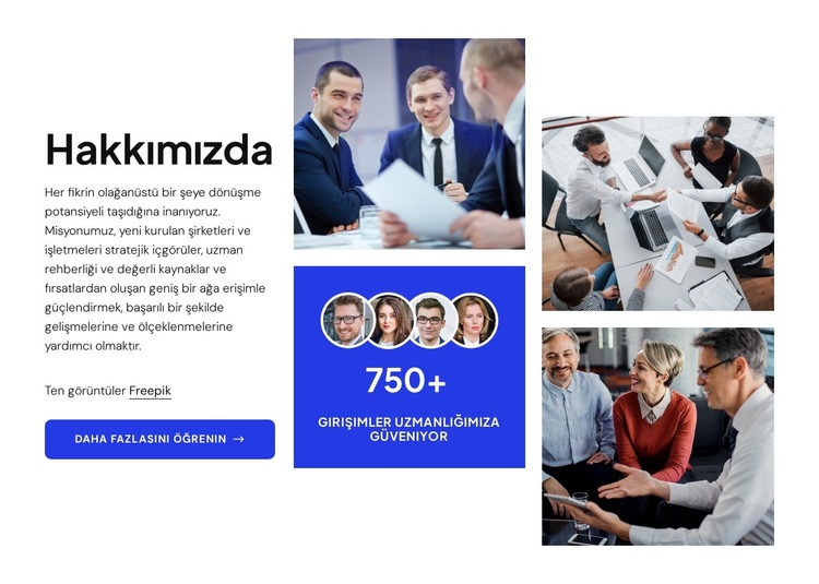 Girişim başarısı için kanıtlanmış stratejiler Web Sitesi Şablonu