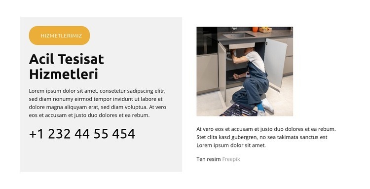 Tuvalet Sızıntısı Onarımı Web sitesi tasarımı