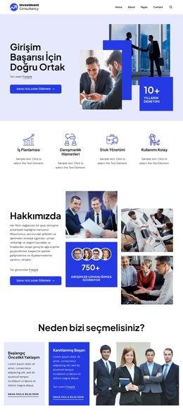 Girişim başarısı için ortak WordPress Temaları