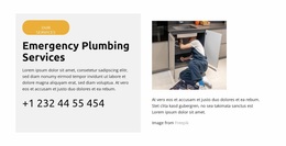 Toilet Leak Repair