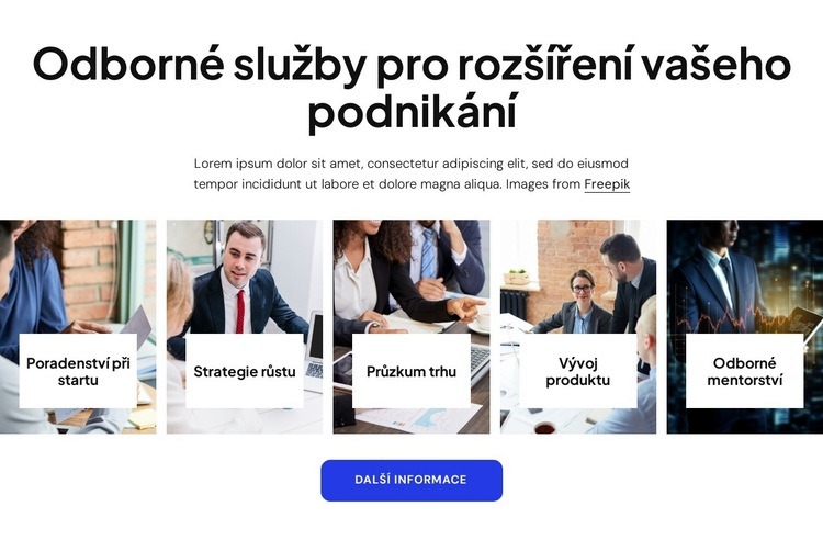 Odborné obchodní poradenské služby Šablona HTML
