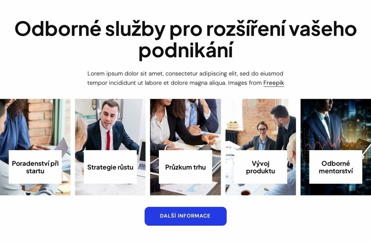 Odborné obchodní poradenské služby Šablona webové stránky