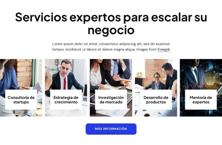 Servicios de consultoría empresarial experta Maqueta de sitio web