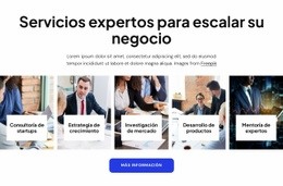 Servicios De Consultoría Empresarial Experta
