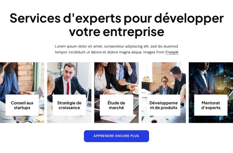 Services de conseil aux entreprises experts Modèle CSS