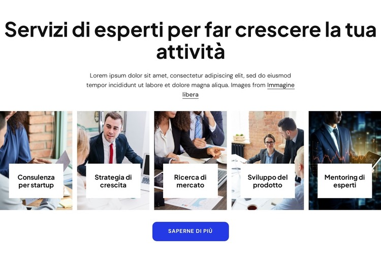 Servizi di consulenza aziendale specialistica Modello HTML