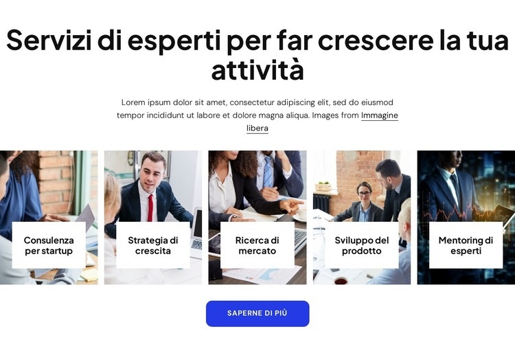 Servizi di consulenza aziendale specialistica Modello HTML5