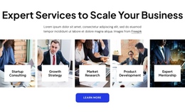 Expert Business Consultant Services