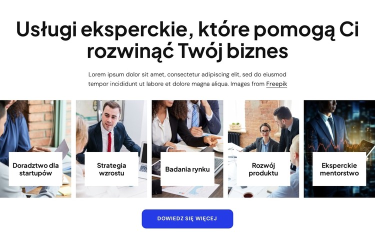 Usługi eksperckiego doradztwa biznesowego Szablon CSS