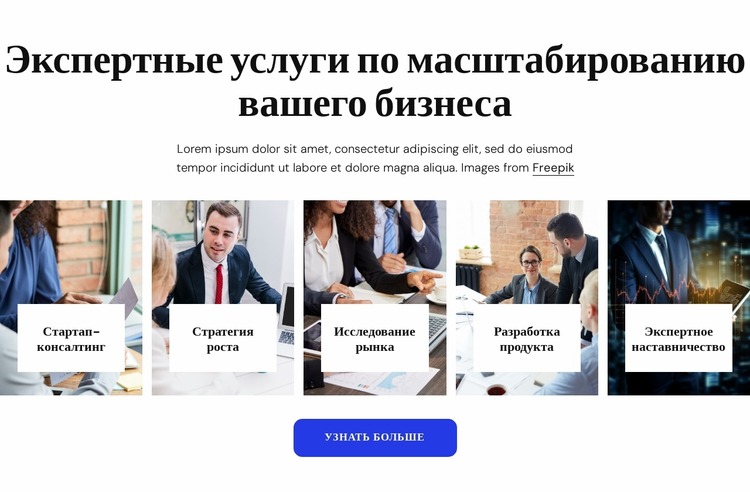 Услуги экспертного бизнес-консультанта Шаблон Joomla