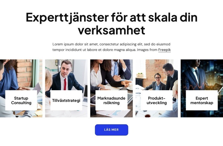 Expertkonsulttjänster inom företag Webbplats mall