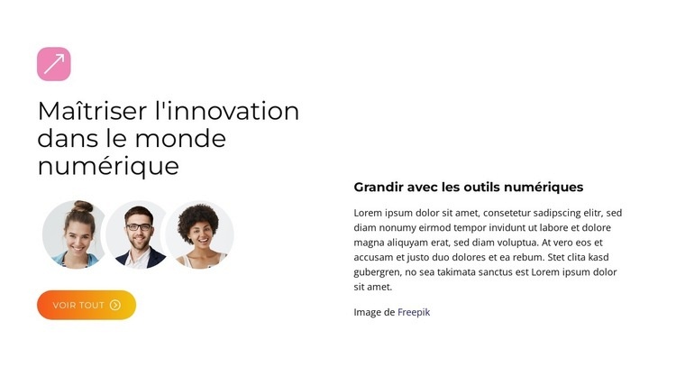 Solutions BrandBoost Maquette de site Web