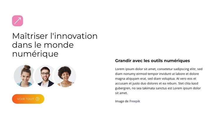 Solutions BrandBoost Modèle CSS