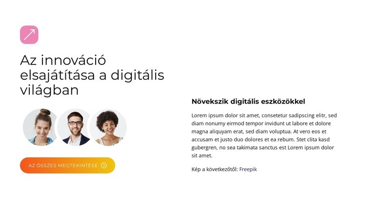 BrandBoost megoldások Sablon