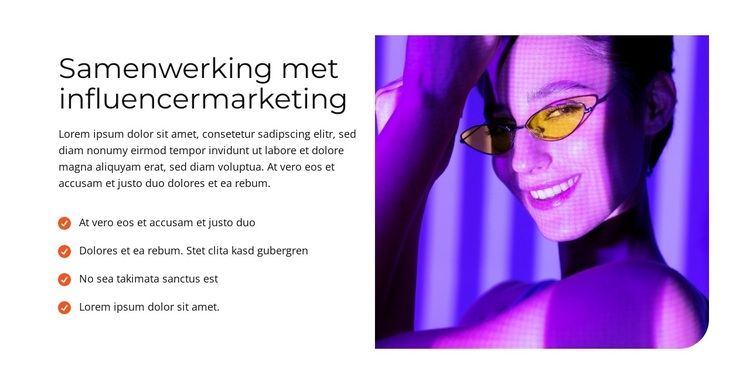 Visionaire Webwerken WordPress-thema