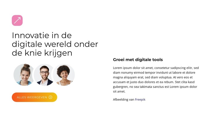 BrandBoost-oplossingen Website sjabloon